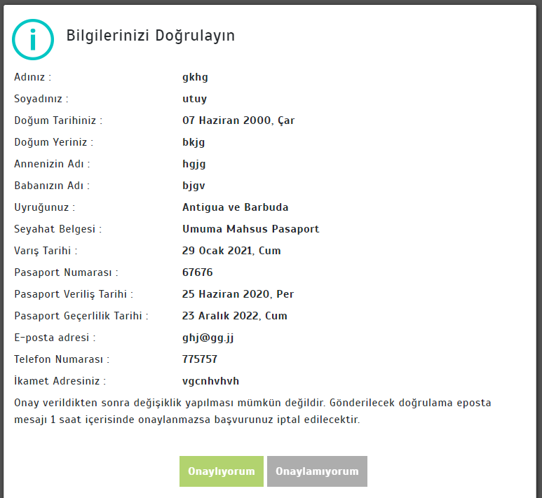 türkiye-vize-başvuru-formu-bilgilerinizi-doğrulayın