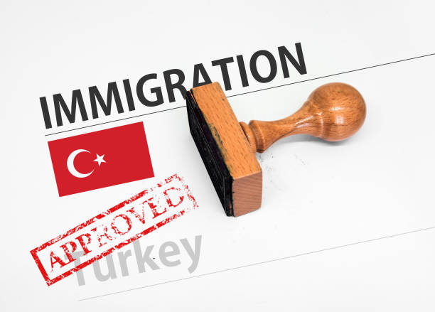 Pitfalls to Avoid When Applying for a Turkish e-Visa
