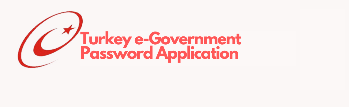 Turkey e-Government Password Application Turkey e-Government Password Application